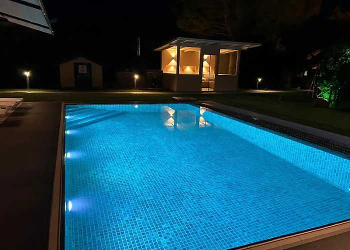 Alcedo - Atthis ムーラ