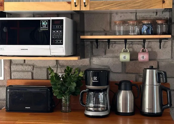 Alcedo - Atthis * ムーラ