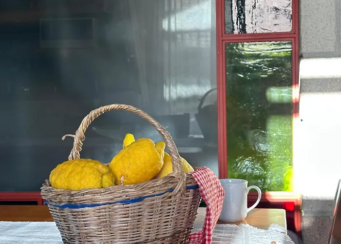 Alcedo - Atthis ムーラ