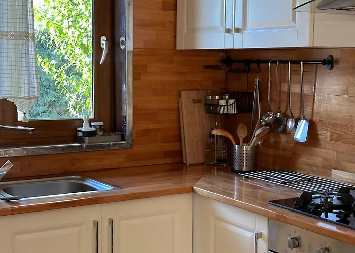 Alcedo - Atthis * ムーラ