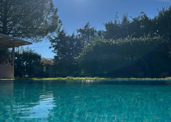 Alcedo - Atthis * ムーラ