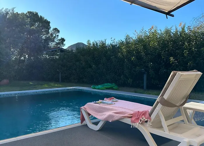 Alcedo - Atthis ムーラ