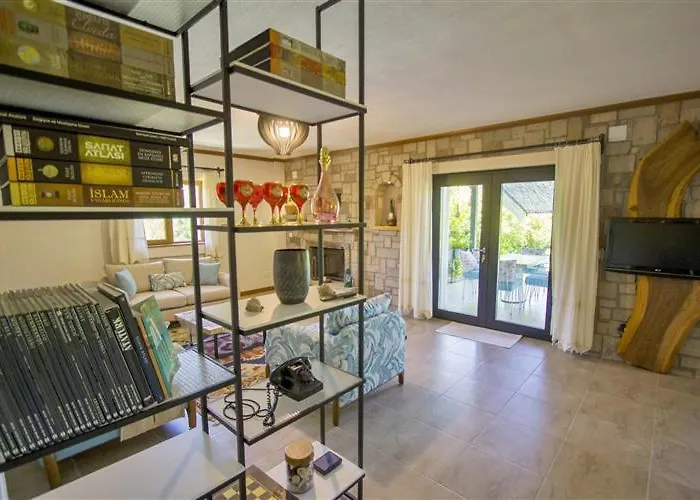 Alcedo - Atthis * ムーラ