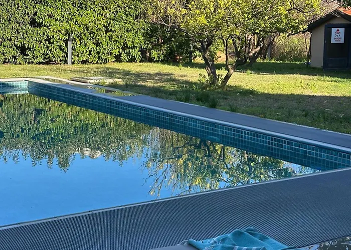 Alcedo - Atthis ムーラ