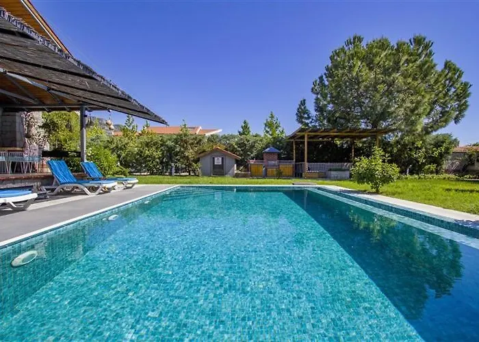 Alcedo - Atthis * ムーラ