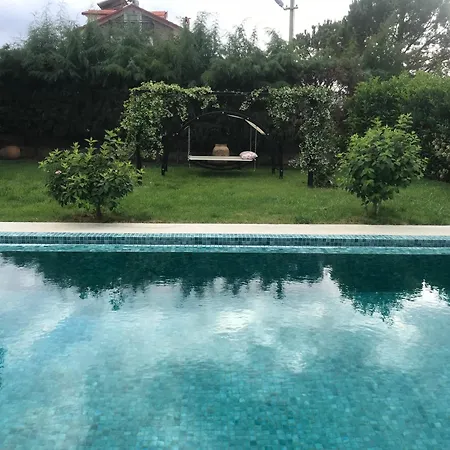 Alcedo - Atthis Muğla
