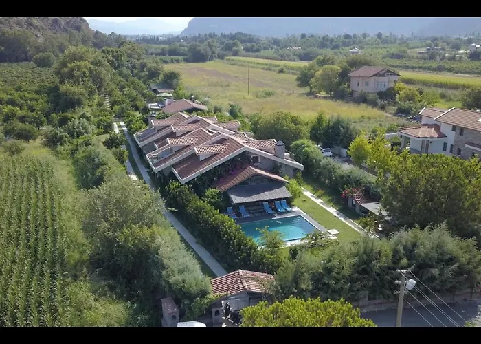 Alcedo - Atthis Villa