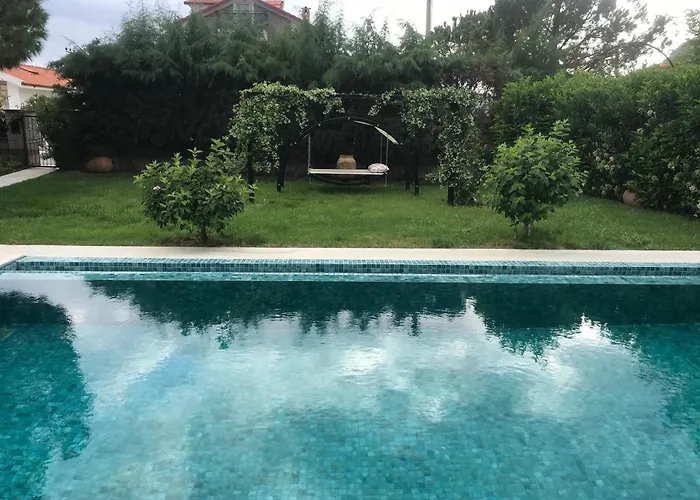 Alcedo - Atthis Muğla