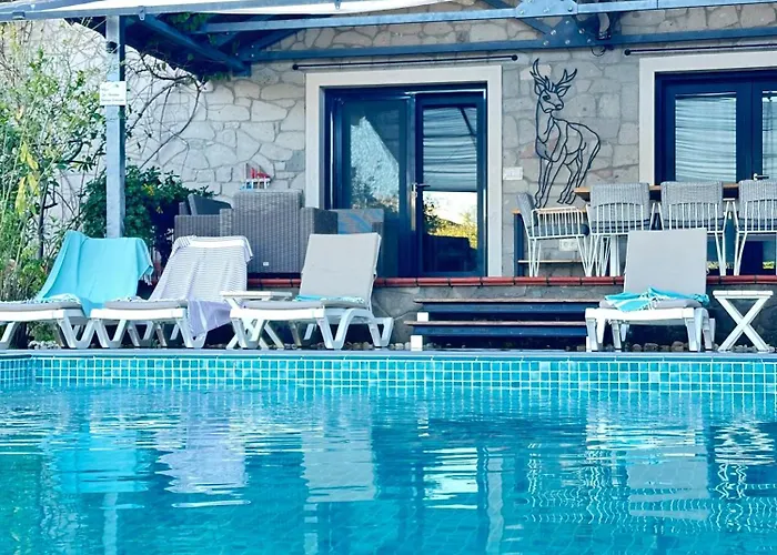Villa Alcedo - Atthis