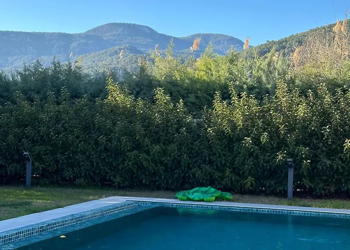 Alcedo - Atthis * Muğla